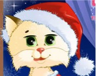Cuddles the kitten online