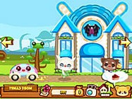 Daily pet city online cicás játék