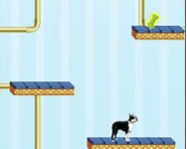 Georgias jump room online cicás játék