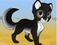 Kitten maker ingyen játék